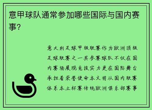 意甲球队通常参加哪些国际与国内赛事？